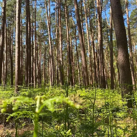 Luxushaus Bodden Mit Sauna Дом отдыха