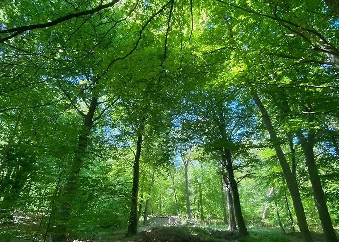 Luxushaus Bodden Mit Sauna * Fuhlendorf (Mecklenburg-Vorpommern)