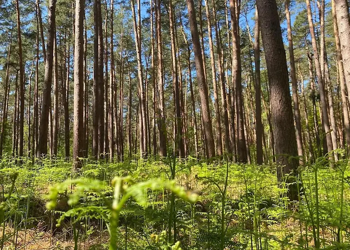 Luxushaus Bodden Mit Sauna Casa de Férias